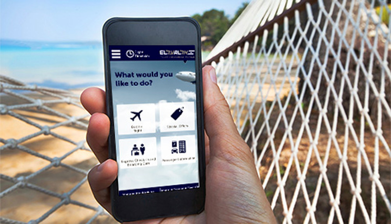check-in в мобильном приложении - как онлайн зарегистрироваться на рейс